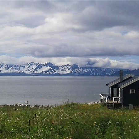 Arctic Fjordcamp Hotel Burfjord Kültér fotó