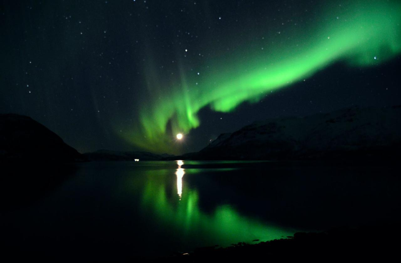 Arctic Fjordcamp Hotel Burfjord Kültér fotó