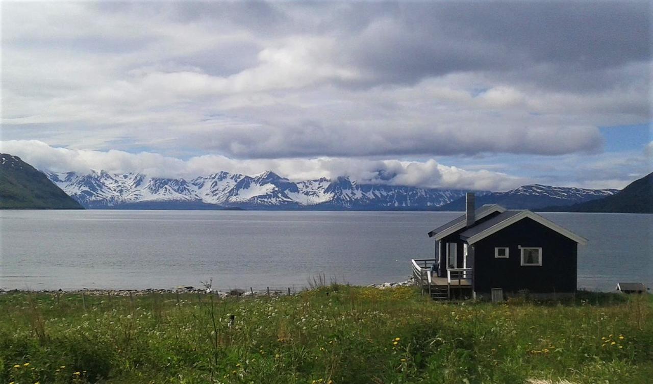 Arctic Fjordcamp Hotel Burfjord Kültér fotó