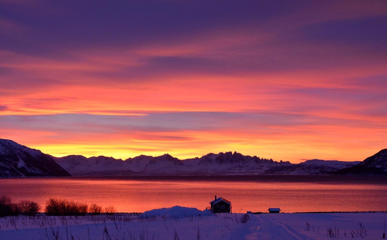 Arctic Fjordcamp Hotel Burfjord Kültér fotó