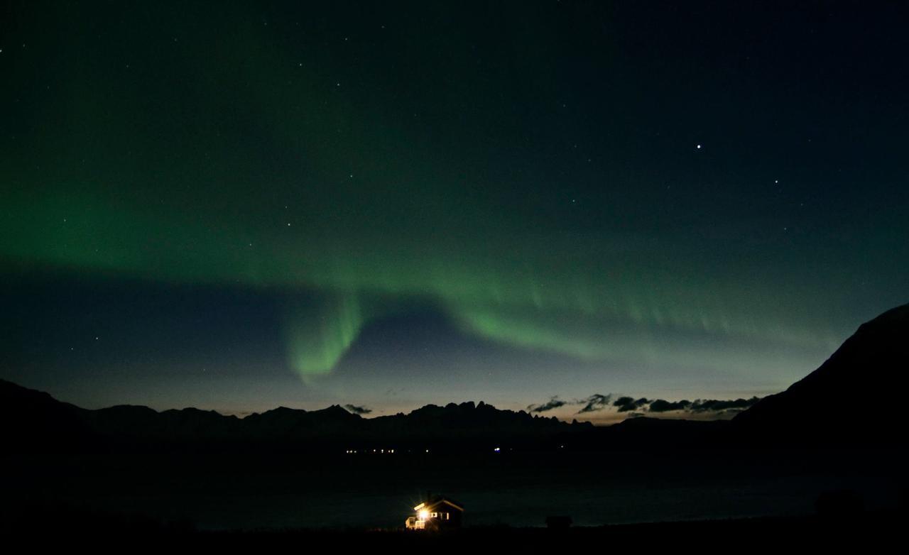 Arctic Fjordcamp Hotel Burfjord Kültér fotó